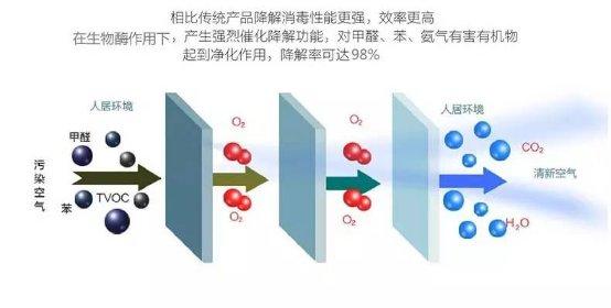 新房新裝修甲醛超標除甲醛治理哪種方法最有效？